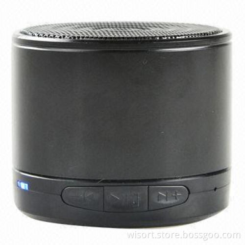 Portable speaker with mic